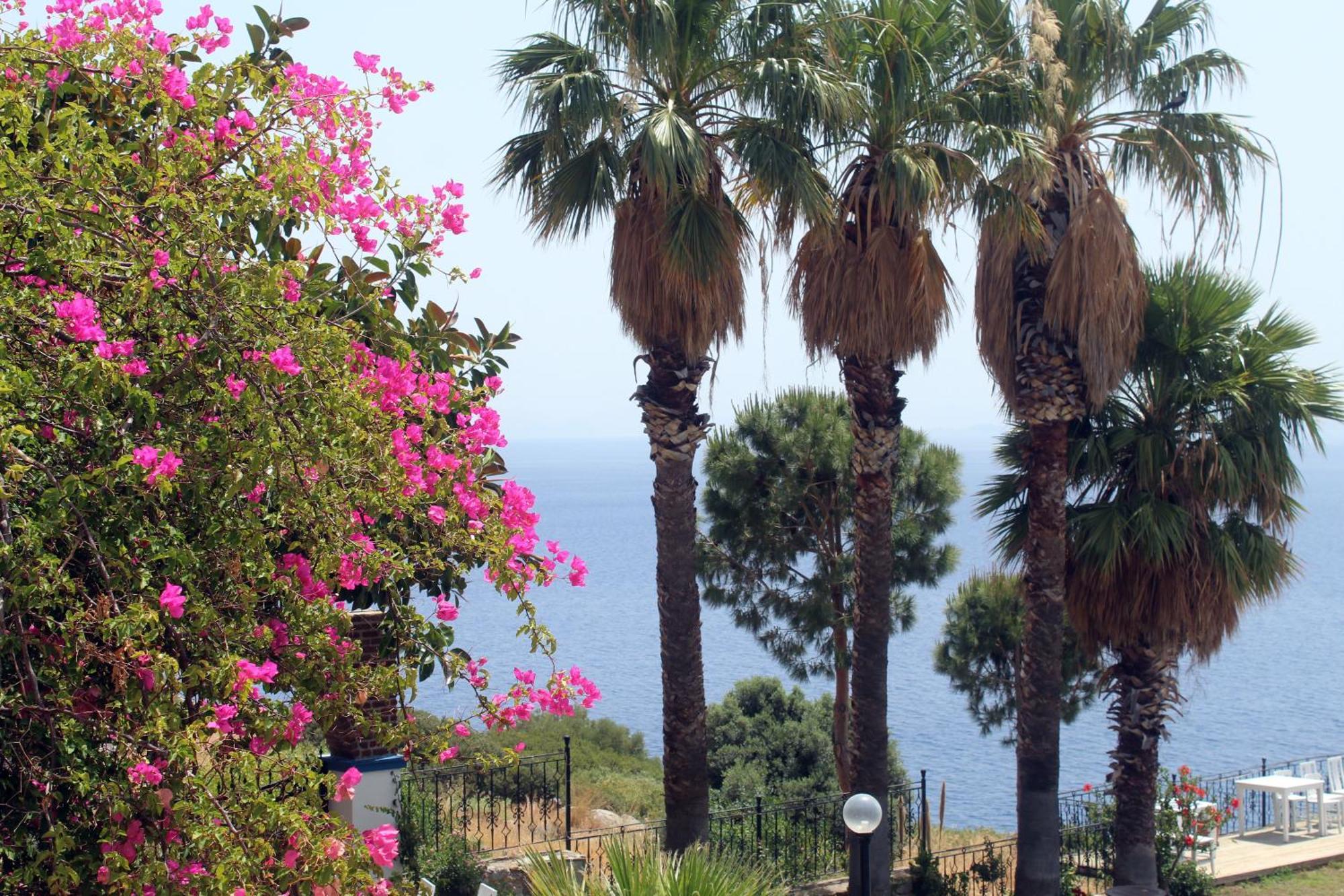 Datca Villa Carla Hotel Værelse billede